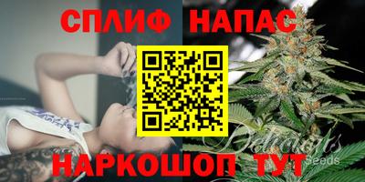 гидра Обь