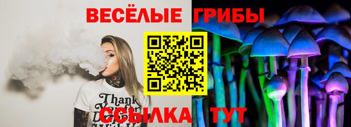 Псилоцибиновые грибы ЛСД  Галлюциногенные грибы прущие грибы  Сочи  Вход с VPN 